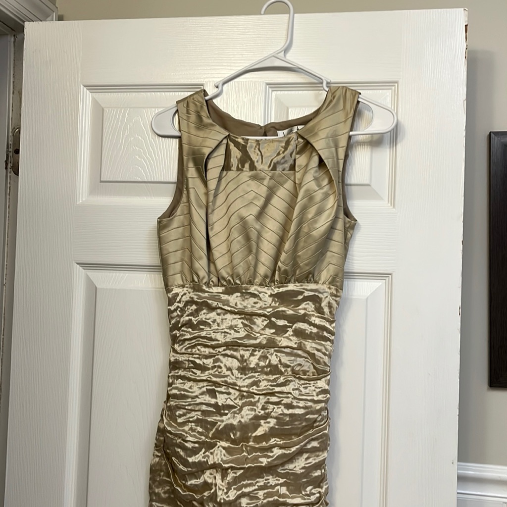 Nicole Miller Rushed Dress